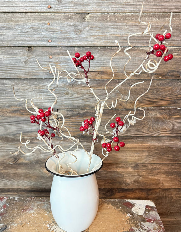 Birch Snow Berry Stem, 32