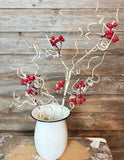 Birch Snow Berry Stem, 32", Red Natural