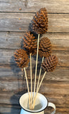Slash Pine Cone Bunch