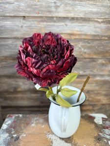 Abundance Peony, 25", 5" bloom, Burgundy