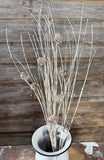 Snowy Birch Twig Spray, 34", White