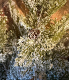 Snow Cedar Spray, 26", White Green