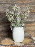 Succulent Bush, 15", Purple