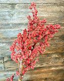 Glittered Berry Spray, 31",