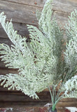 FROSTED CYPRESS BUSH X 7, 18", Green