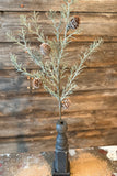 Japanese Cedar Pick, 11"x0"x17", Green White Brown