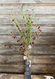 INDIVIDUAL - Iced Pine Pip Berry Bush, 21"