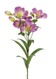 Alstroemeria Spray, 25", Fuchsia