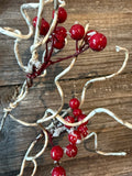 Birch Snow Berry Stem, 32", Red Natural