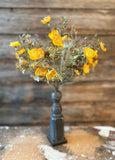 Julep Blooms Bush, 11", Mustard