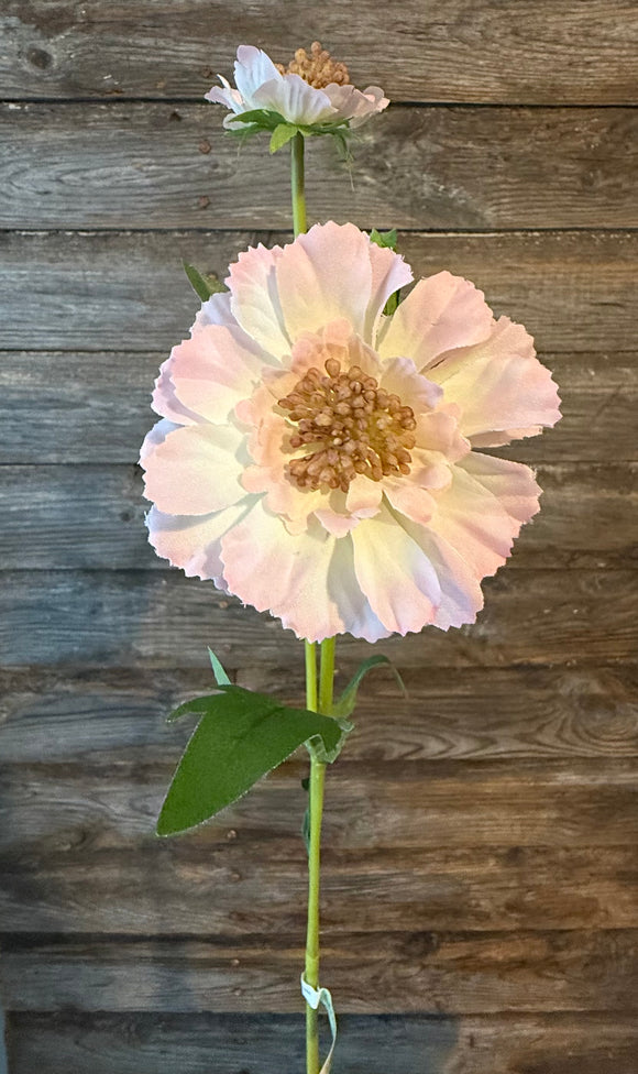 Double Scabiosa Spray, 22