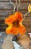 Autumn Poppy Spray, 22", Sienna