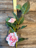Peppermint Camellia Spray, 29", Pink