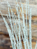 Snow Long Needle Cone Spray, Frosted green