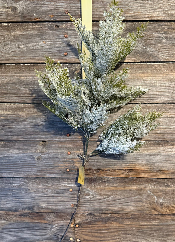 Snow Cedar Spray, 26