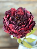 Abundance Peony, 25", 5" bloom, Burgundy