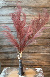 PHOENIX TAIL FERN, 28", Burgundy