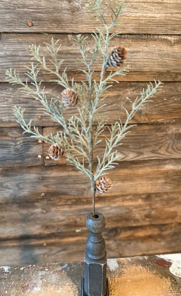 Japanese Cedar Pick, 11