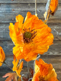 Autumn Poppy Spray, 22", Sienna