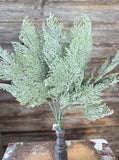 FROSTED CYPRESS BUSH X 7, 18", Green