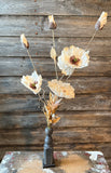 Autumn Poppy Spray, 22", Cream