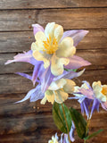 Columbine Spray, 32", Lavender Cream