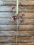 Birch Snow Berry Stem, 32", Red Natural
