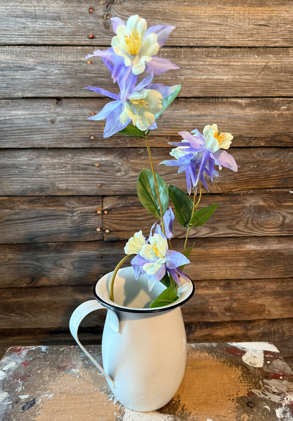 Columbine Spray, 32