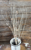 Snowy Birch Twig Spray, 34", White