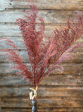 PHOENIX TAIL FERN, 28", Burgundy