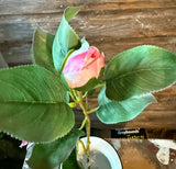 Peppermint Camellia Spray, 29", Pink