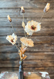 Autumn Poppy Spray, 22", Cream