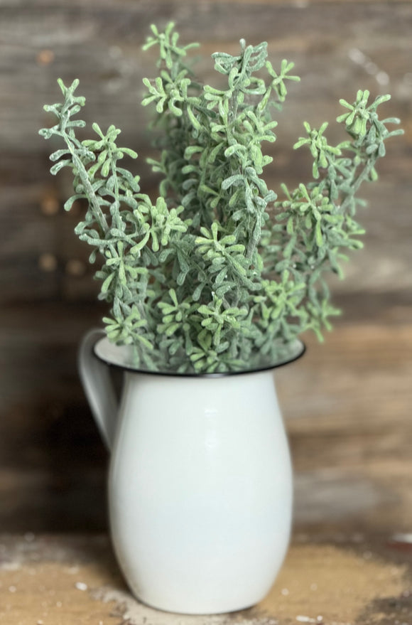 Succulent Bush, 15