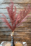 PHOENIX TAIL FERN, 28", Burgundy