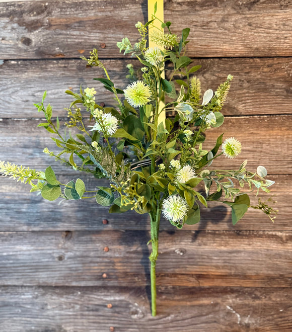 Wildflower Wishes Bush, 24