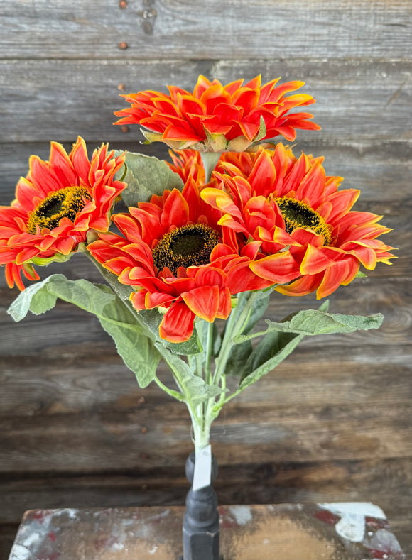 Sunflower Bush, Orange