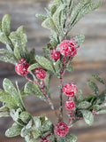 Crystalline Mistleberry Spray, 22", Red and Green
