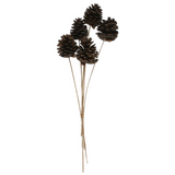 Slash Pine Cone Bunch