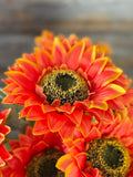 Sunflower Bush, Orange