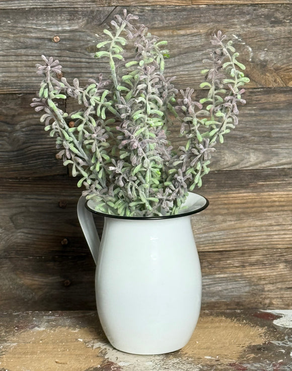 Succulent Bush, 15