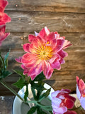 Lewisias Spay, 25.5", Cerise Pink