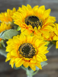 Sunflower Bush, Yellow