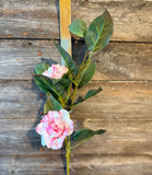 Peppermint Camellia Spray, 29", Pink