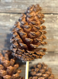 Slash Pine Cone Bunch