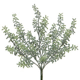 Green Succulent Bush