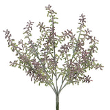 Purple Succulent Bush