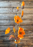 Autumn Poppy Spray, 22", Sienna