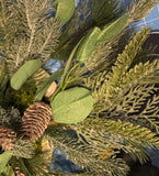 Forest Glory Eucalyptus Bush, 18", Green and Brown