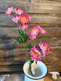 Lewisias Spay, 25.5", Cerise Pink
