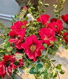 Heatwave Poppy Bush, 21", Red